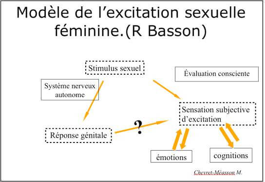 s-modele de l excitation feminine - BASSON