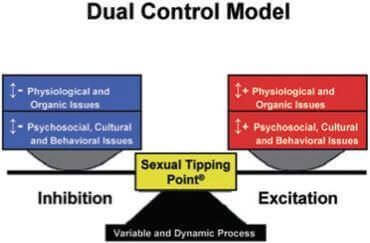Dual control model