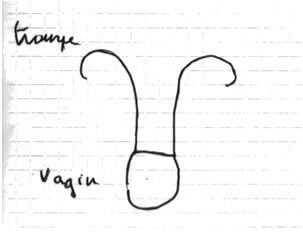Représentation de ses organes génitaux par une vaginique (coll. N. Dudoret)