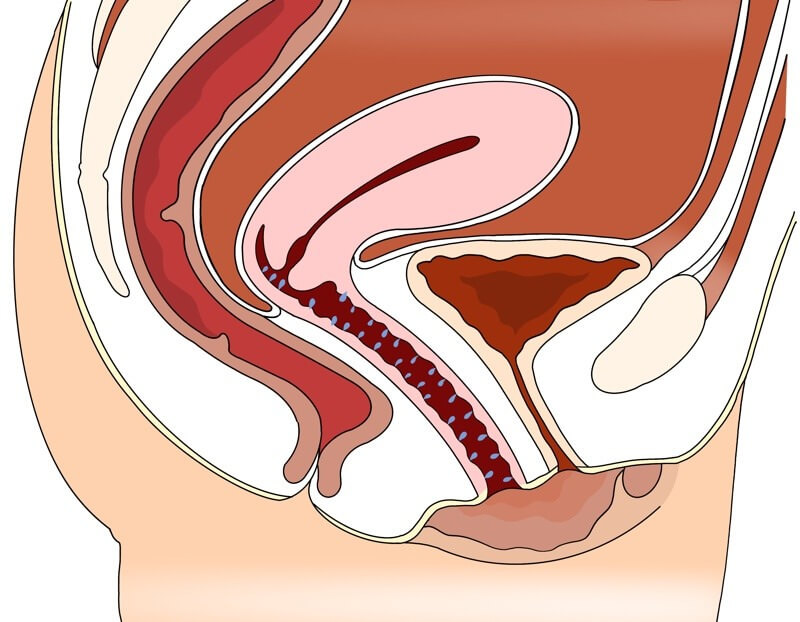 Lubrification vaginale