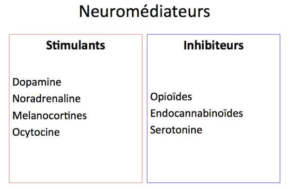neuromediateurs