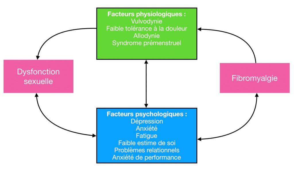 Schéma d'interrelation entre la dysfonction sexuelle et la fibromyalgie